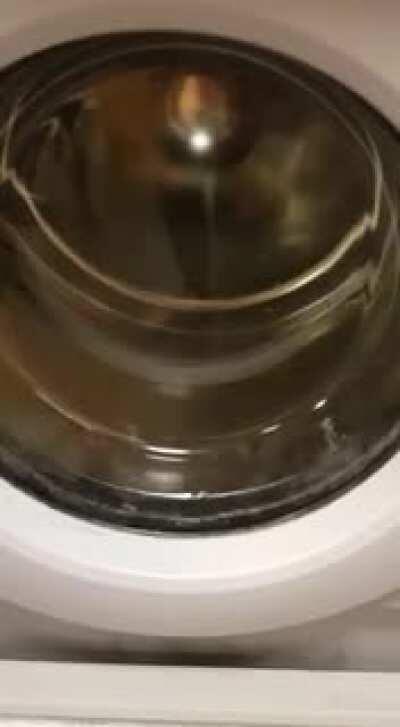 Wanneer je een smerig biertje krijgt van een maat, even wassen.