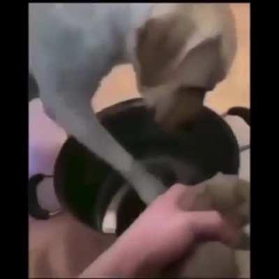 he will not be baked soon, but at what cost...