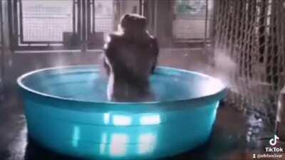 Video filtrado del viejas en la ducha, por favor no difundir🤫