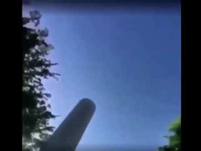 the first rat to the moon