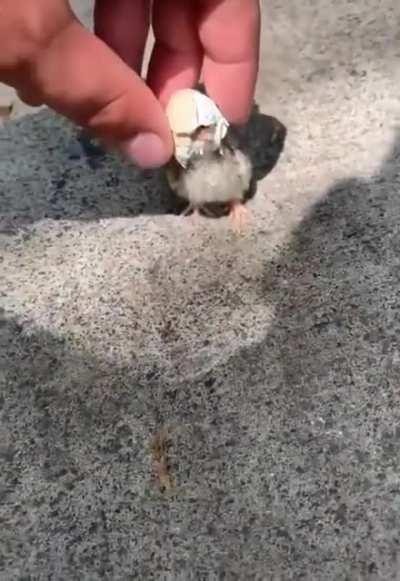 Arent you a little short for a Stormtrooper?