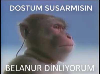 kaldırıldığı için tekrar yükledim