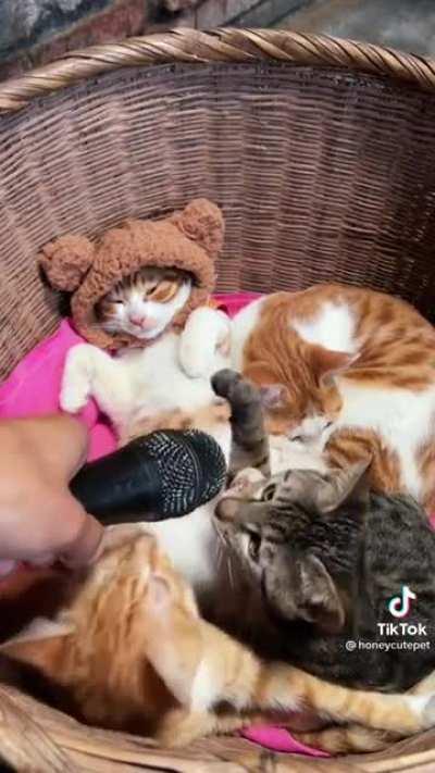 When you hear your voice for the first time