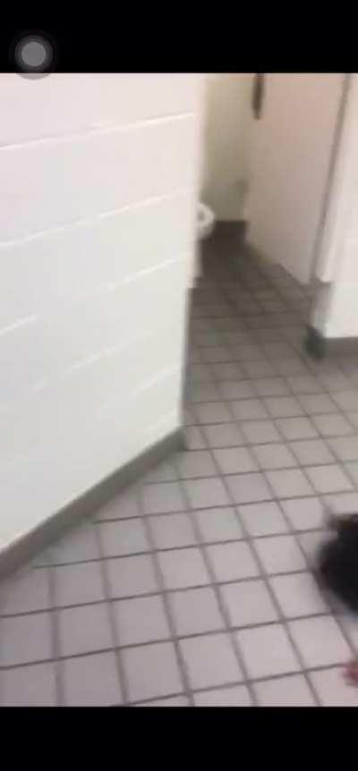 When I catch the nigga that sent me a job application in the chat