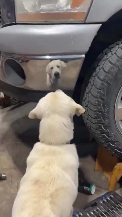 Who's this handsome?🤗