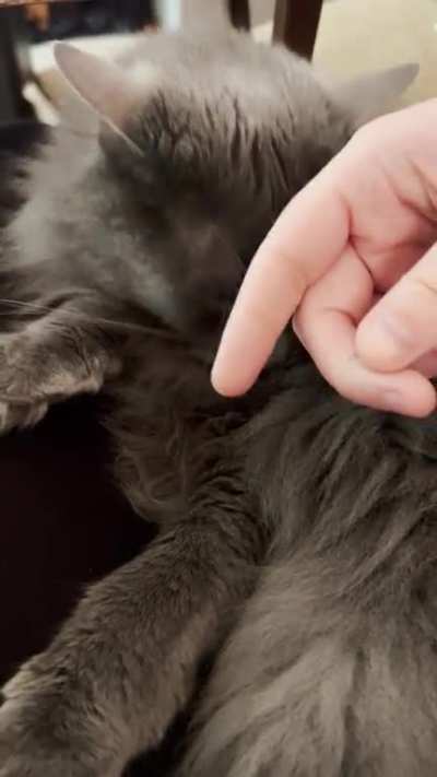 Fuzzy Boi Gives Kisses