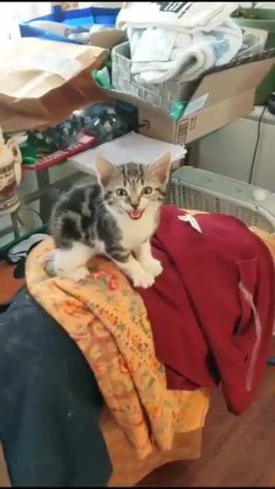 I'd accept such a death