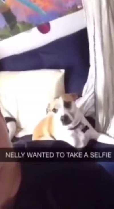 She just wanted to take a selfie.