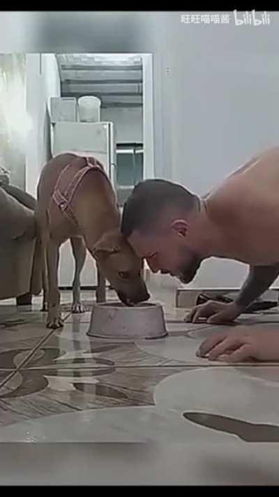 I get the feeling this isn't their first joust.