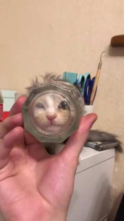 The last sip of water