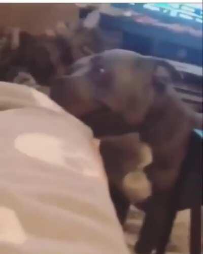 This is what love should be like