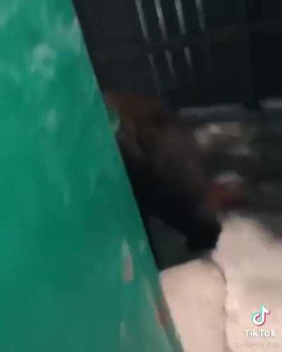 Does...does this go here?