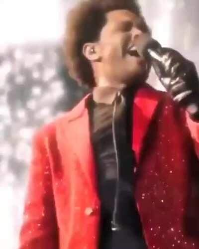 I'm in love with this video.