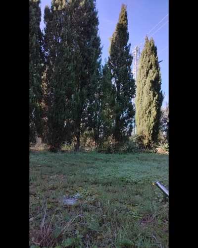 This burned my hand lol