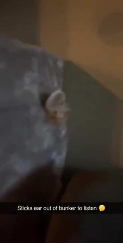 When your roommates throw a party and you’re shy but you don’t wanna miss out on what everyone’s talking about