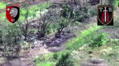 Ukrainian 63rd Mechanized Brigade used ground drones to park large high explosive payloads in Russian-occupied tree lines, observing the location and detonating the drones/munitions as enemy infantry pass by