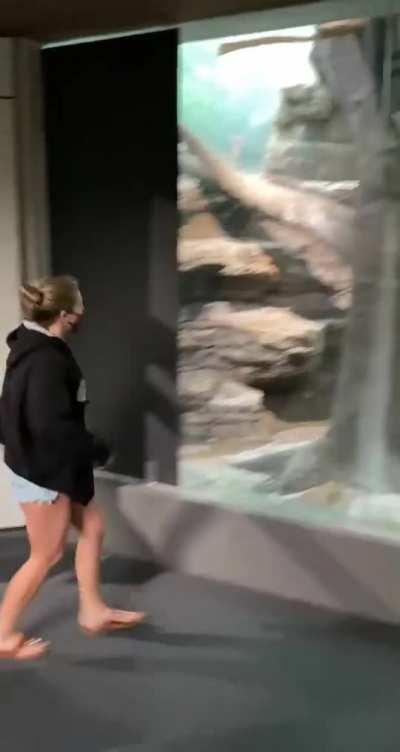 WCGW crossing a barrier that says not to cross it