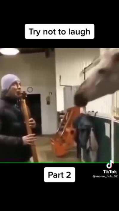 A nice glass of hampter