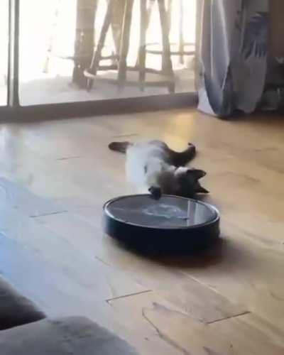 I command you to carry me !!