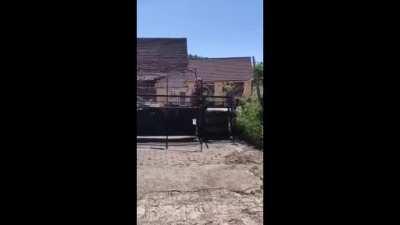 Wingl der alte Kak Nazi