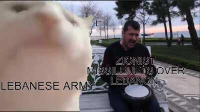 Lebanese Army be vibing