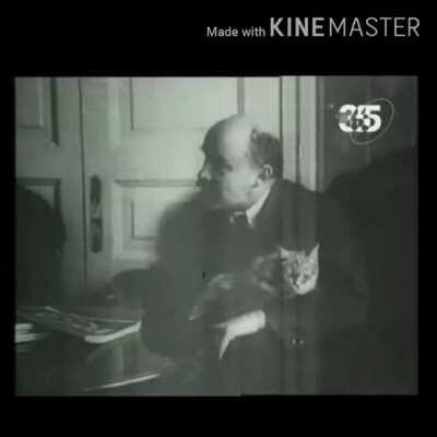 Hey internet, does anybidy got a high res, watermark free video of lenin and his kat?? I only got this gif and i rlly liked it. Anything is worth sharing!