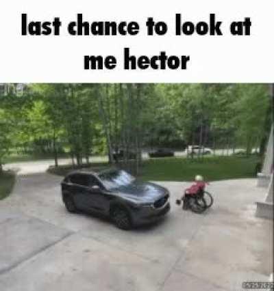 last chance to look at me Hector