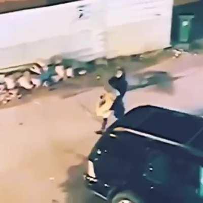 You shouldn't take ownership of street cats 