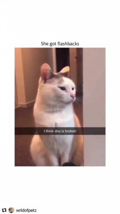 Planes Are Made of Metal \m/