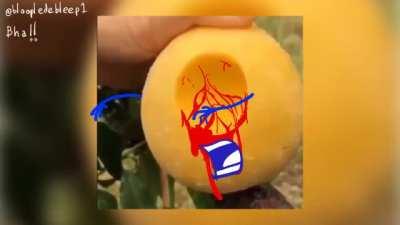 One Scoop of Eye Scream