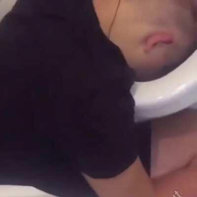 Behold, Boris has fallen deep asleep within the confines of the Porcelain God