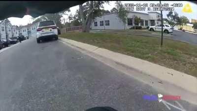 An acorn hit a police car, making the cop think shots were being fired from the police car