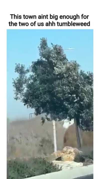 This town ain't big enough for the two of us