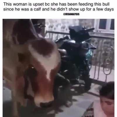 This is the cutest of apologies you will see. 💓💓