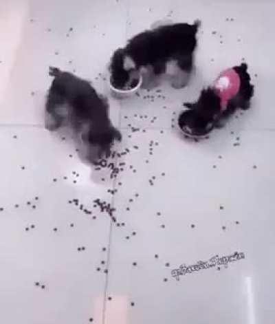 Mfer simply breaks it down.