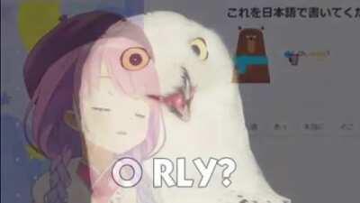 I heard we're bringing back dead memes?