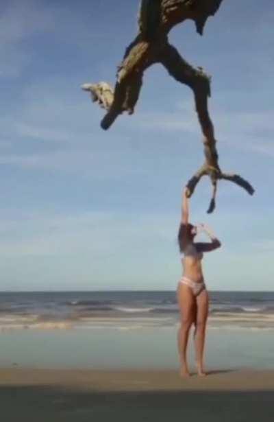 HMC as I trim a tree