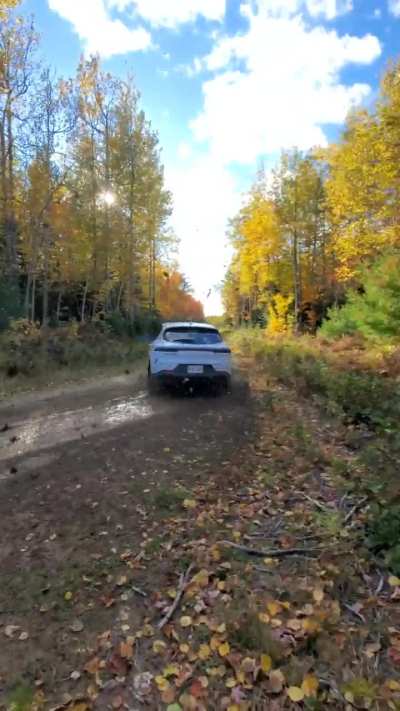 Dodge Hornet drifting 