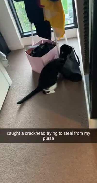 can’t trust anyone