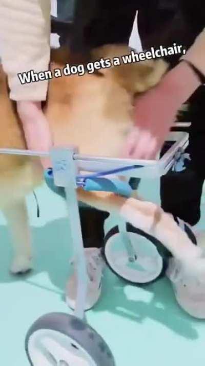 When he finally got his wheelchair. Legend has it that he is still smiling and running.