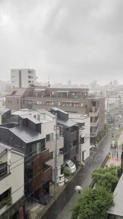 Rainy season started today in Tokyo. 😌