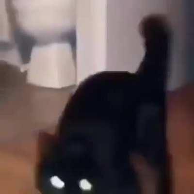 whole server when a deathnote spawns