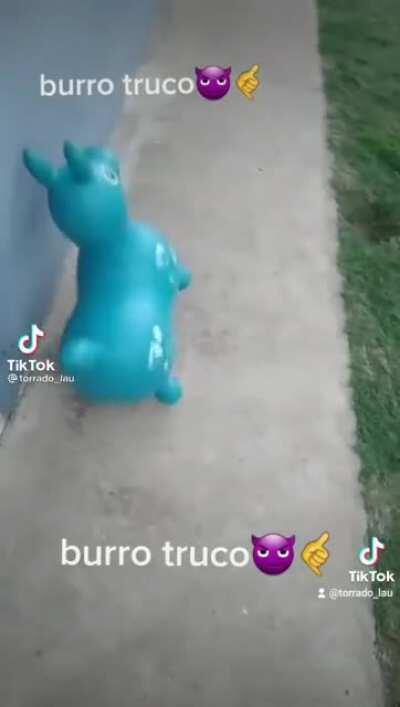 Burro truco 😈🤙🏻