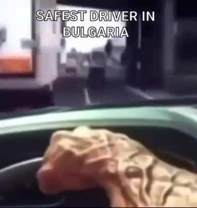 BULGARIAN DRIVERS ARE THE BEST🤯