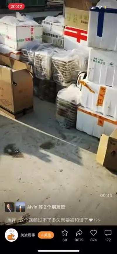 疑似上海盒饭堆积暴晒无人发放