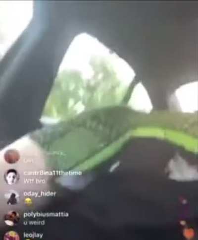 Twerking, arching and spreading legs