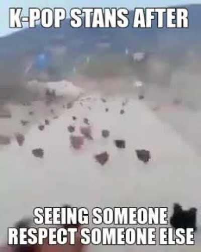 im sorry sir we don't do that here 😁😊