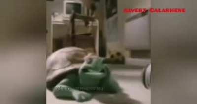 ¿Quién es el Dylantero en verdad?