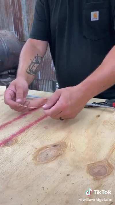 How chickens get their arms