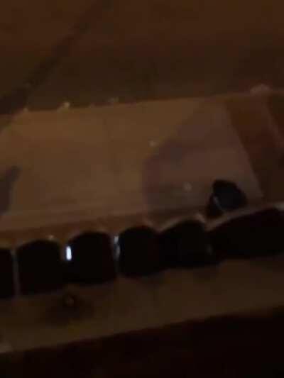 Cops pepper spray passers by.......